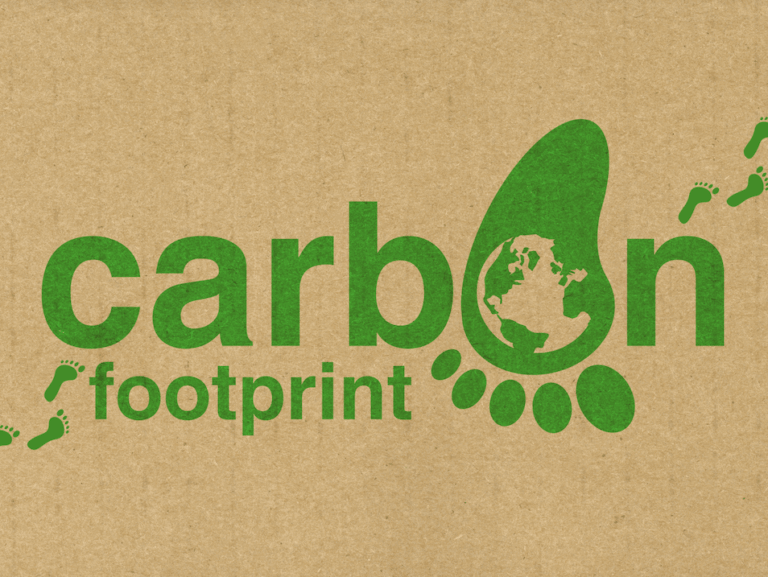 Carbon Footprint Image